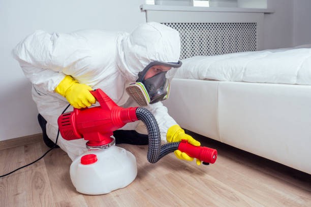 Best Bed Bug Extermination  in Elverson, PA